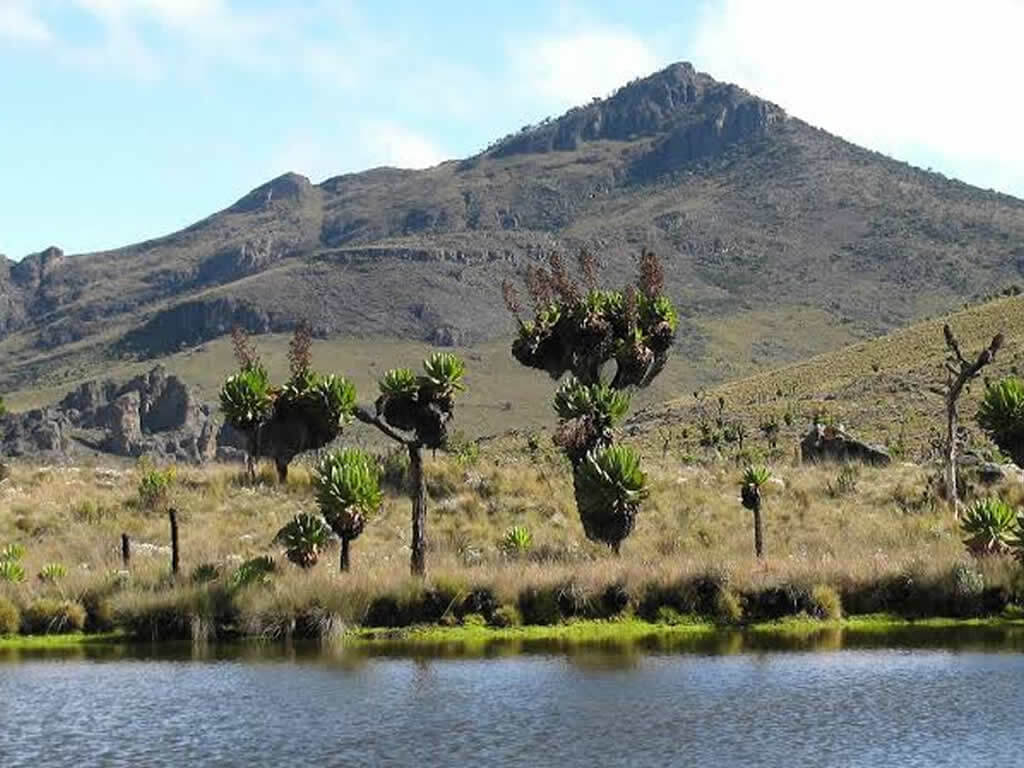 Mt Elgon National Park