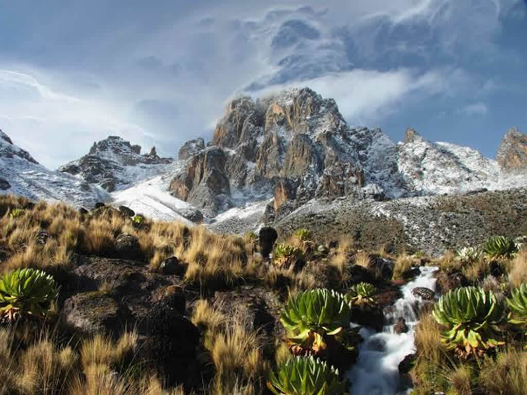 Mt Kenya National Park