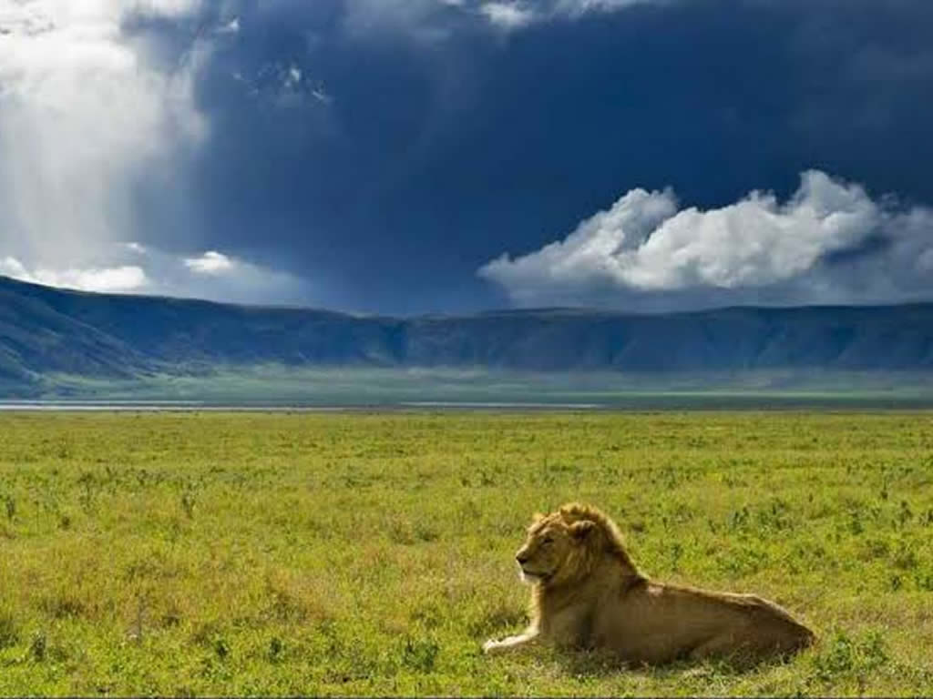 Ngorongoro Conservation Area