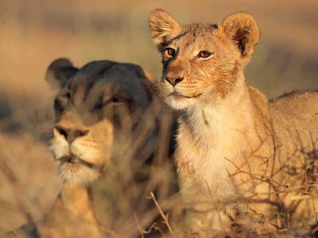 Serengeti National Park