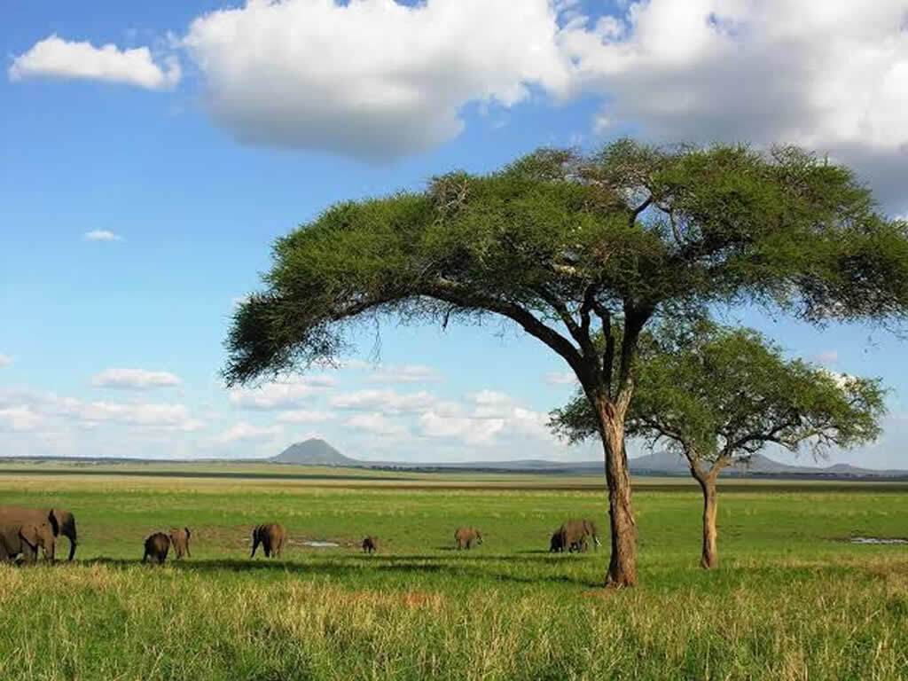 Tarangire National Park