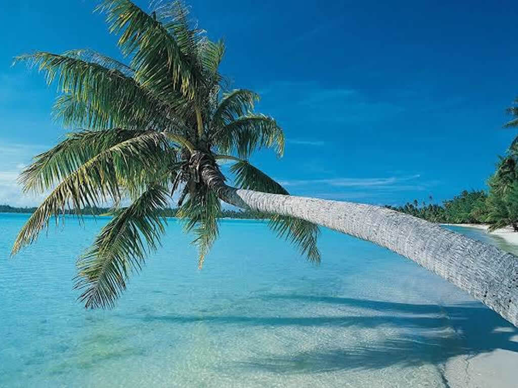 Zanzibar and Pemba Island