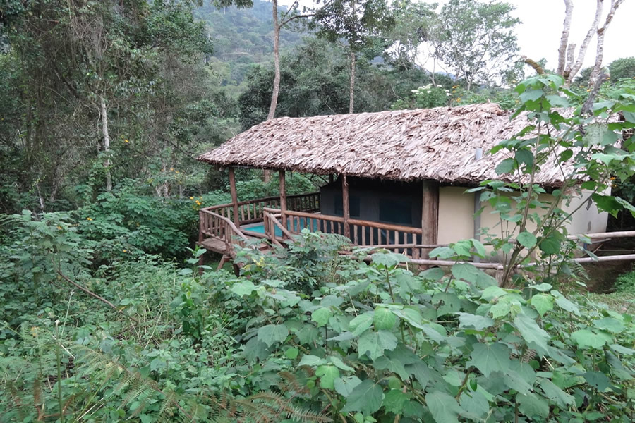 Buhoma Community Camp