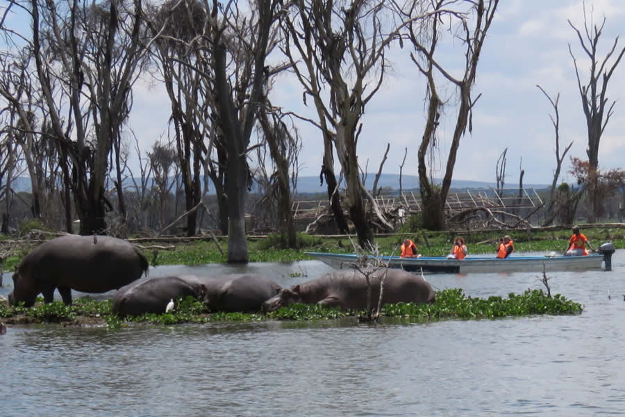 Kenya Tanzania Safari